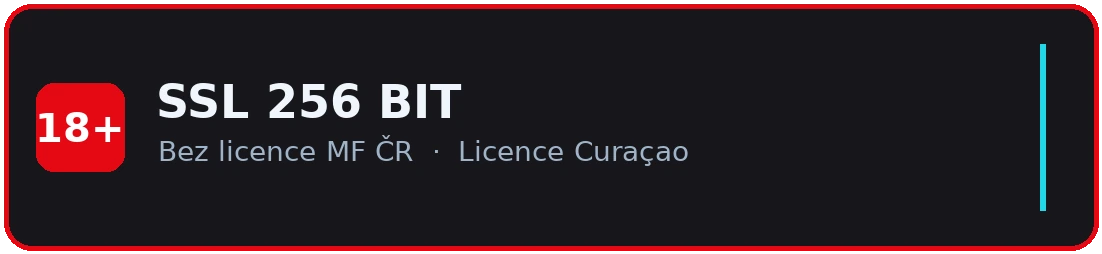 Zabezpečené spojení SSL, bez licence MF ČR